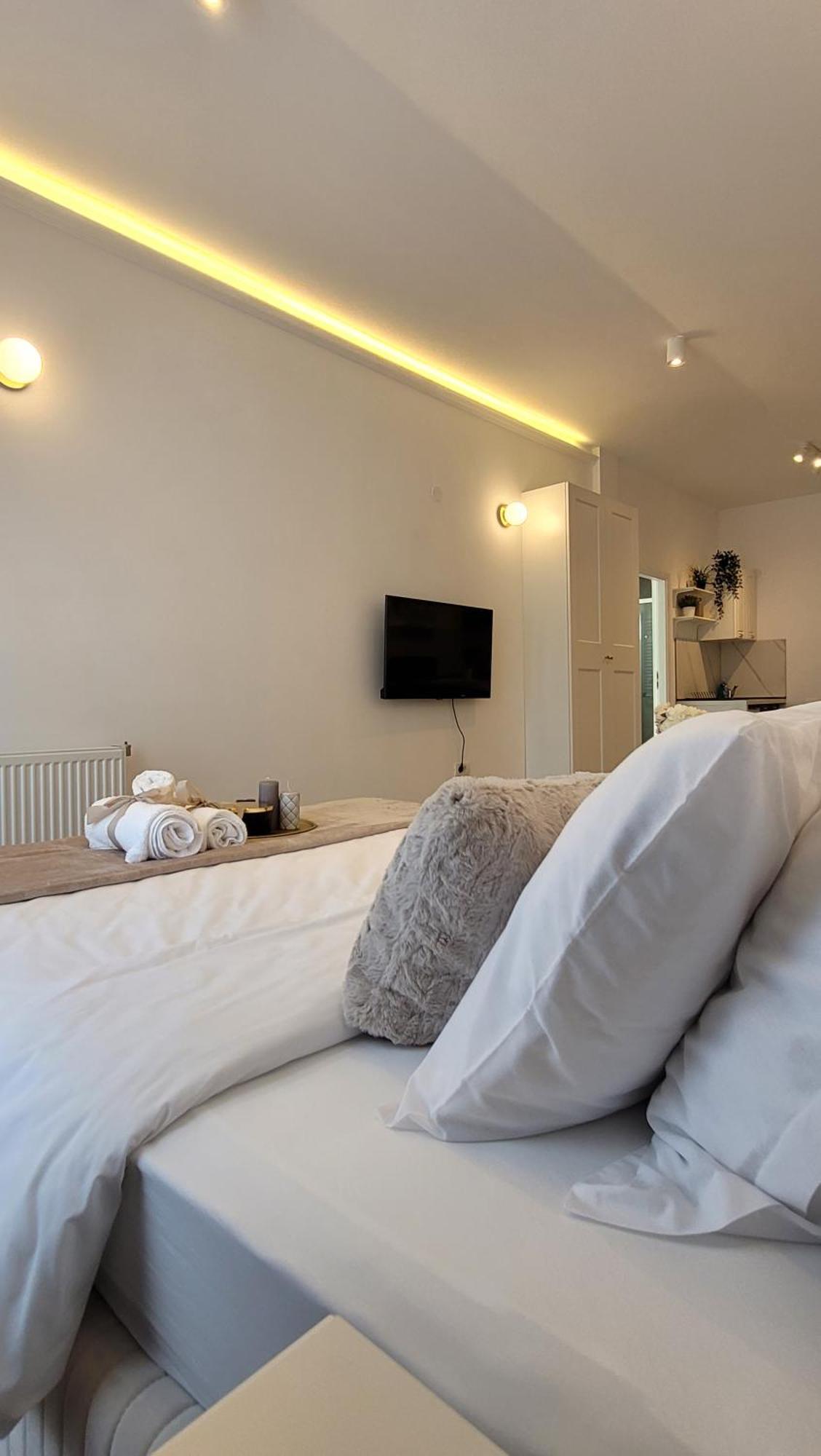 Appartamento Luxury Mansion Bucarest Esterno foto